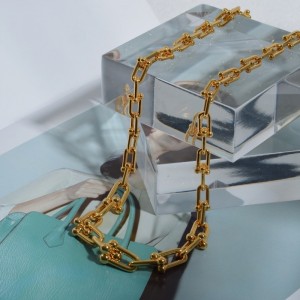 Colier cu lanț gros feminin Europa și Statele Unite Ins Light Luxy Nișă de Luxe Lanț Collarbone