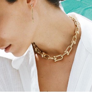 Colier cu lanț gros feminin Europa și Statele Unite Ins Light Luxy Nișă de Luxe Lanț Collarbone