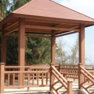 Mucegai de extrudare din plastic cu lemn de PE din orașul Huangshi