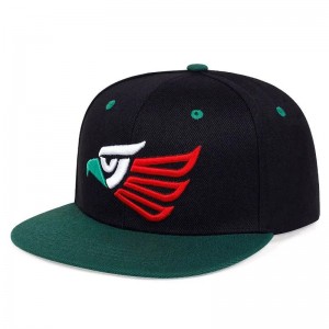 Controlul cu ridicata Snapback CAP HIP HIP HIP HIP HIP cu logo -ul realizat în Pakistan