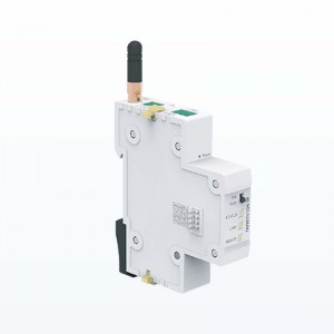 Logger DIN-RAIL LDW-1