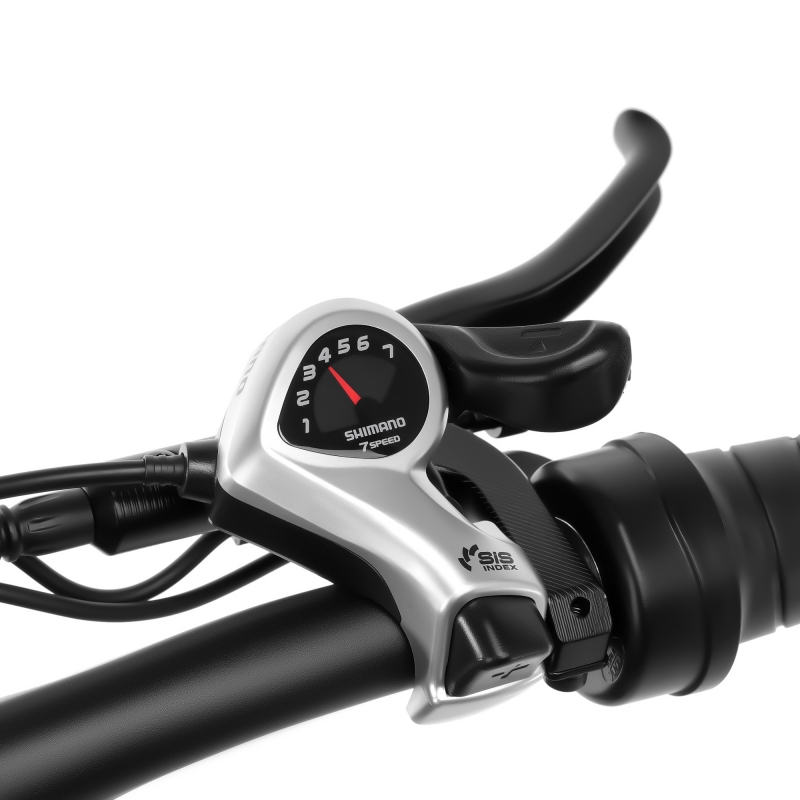 20inch Fat Tire Electric Bike