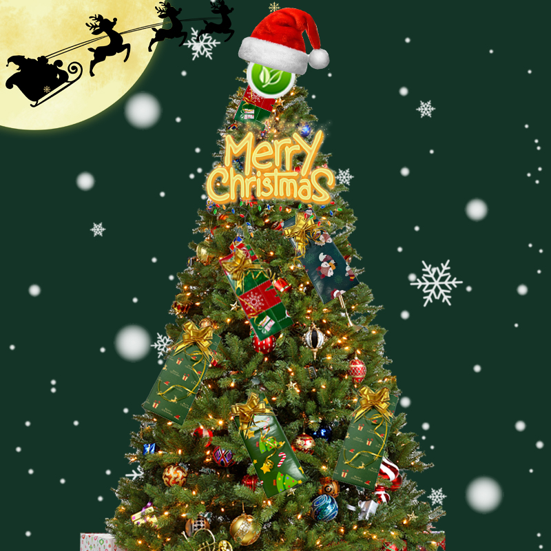 O scrisoare sinceră de binecuvântare de la Tuoye