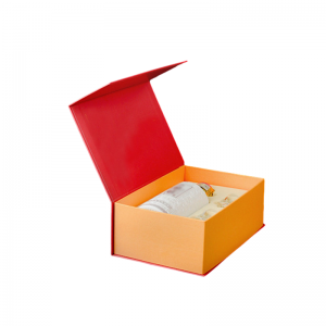 Mașină de poziționare a imaginii manipulatoare DG-600B MANIPULATOR multifuncțional (MULTI-SERVO FEIDA)