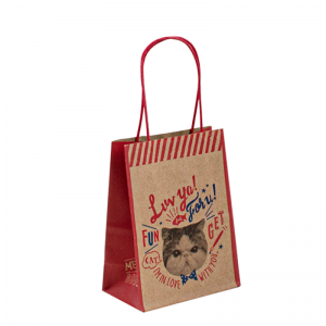 Reciclabil maro maronii de hârtie personalizat pentru cumpărături pentru cumpărături de hârtie albă Kraft Bag de hârtie