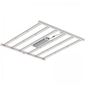 800W 4*4ft Spectrum complet, corp de iluminat horticol pentru seră interioară sau LED -uri de creștere comercială crescând lumină