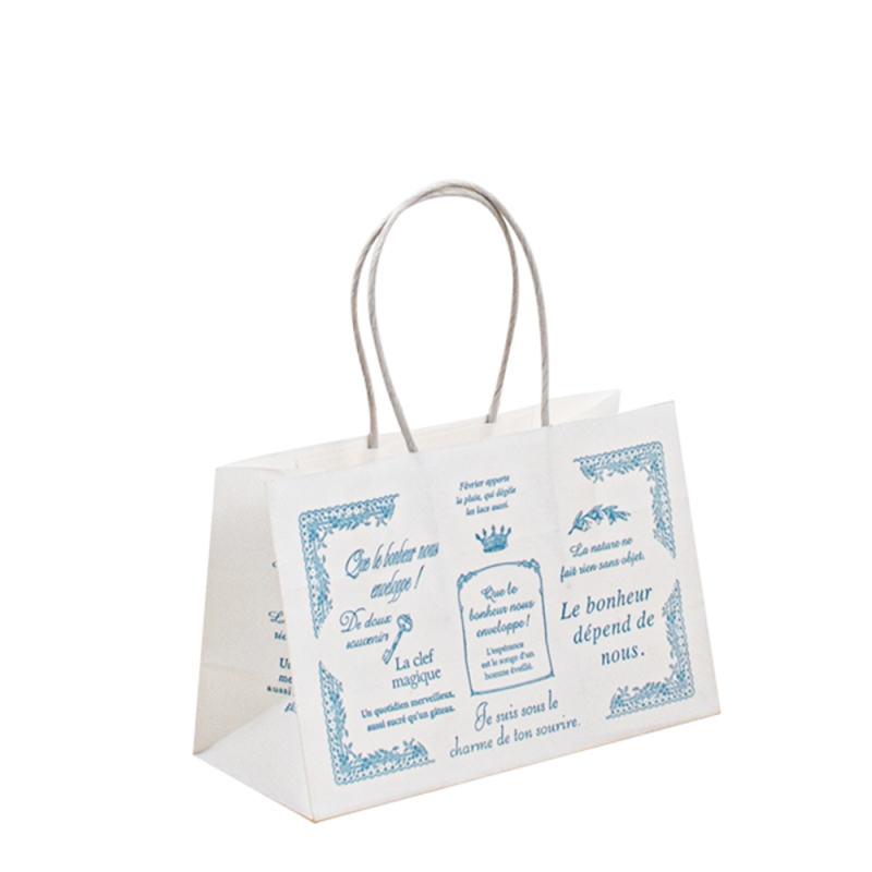 Geanta de hârtie de lux cu propriile pungi de hârtie cu logo -ul manipula sacul de hârtie artizanală