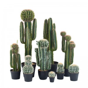 Plante de cactus artificial de înaltă calitate, de înaltă calitate, de înaltă calitate, de înaltă calitate Faux Cactus Cactus
