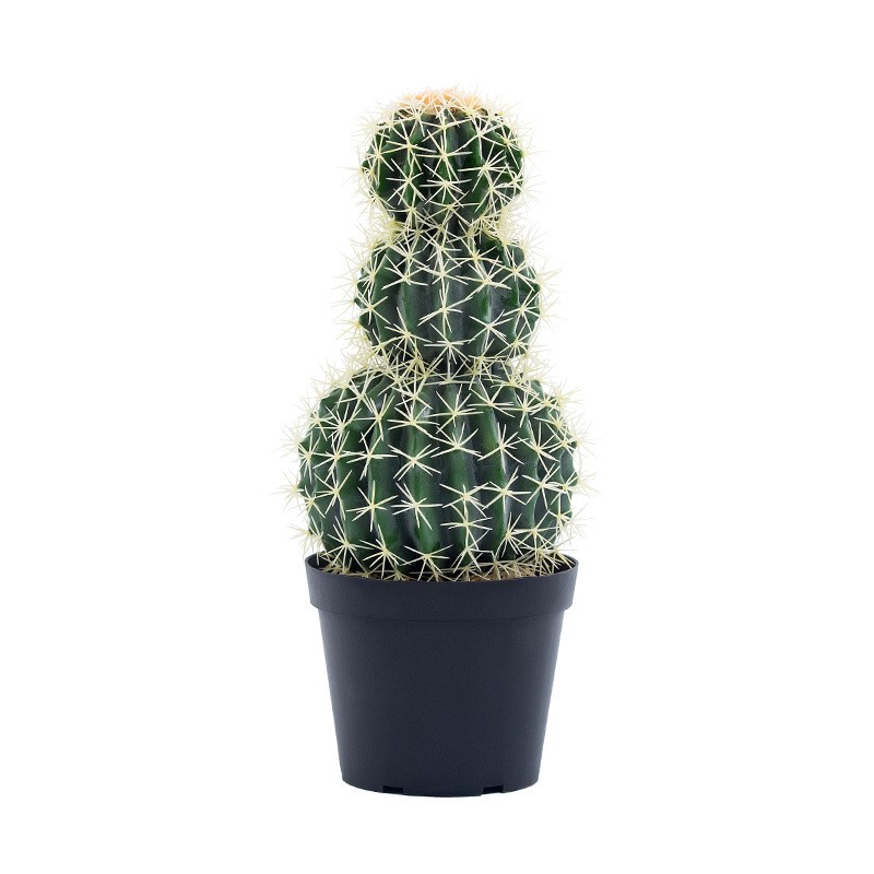 Plante de cactus artificial de înaltă calitate, de înaltă calitate, de înaltă calitate, de înaltă calitate Faux Cactus Cactus
