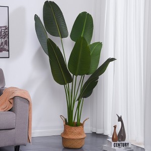 Artificial direct din fabrică Durabil Vivid AllSeason Traveller \\\\ Palm pentru furnizor de grădină pentru interior în aer liber, decor denuntă în aer liber