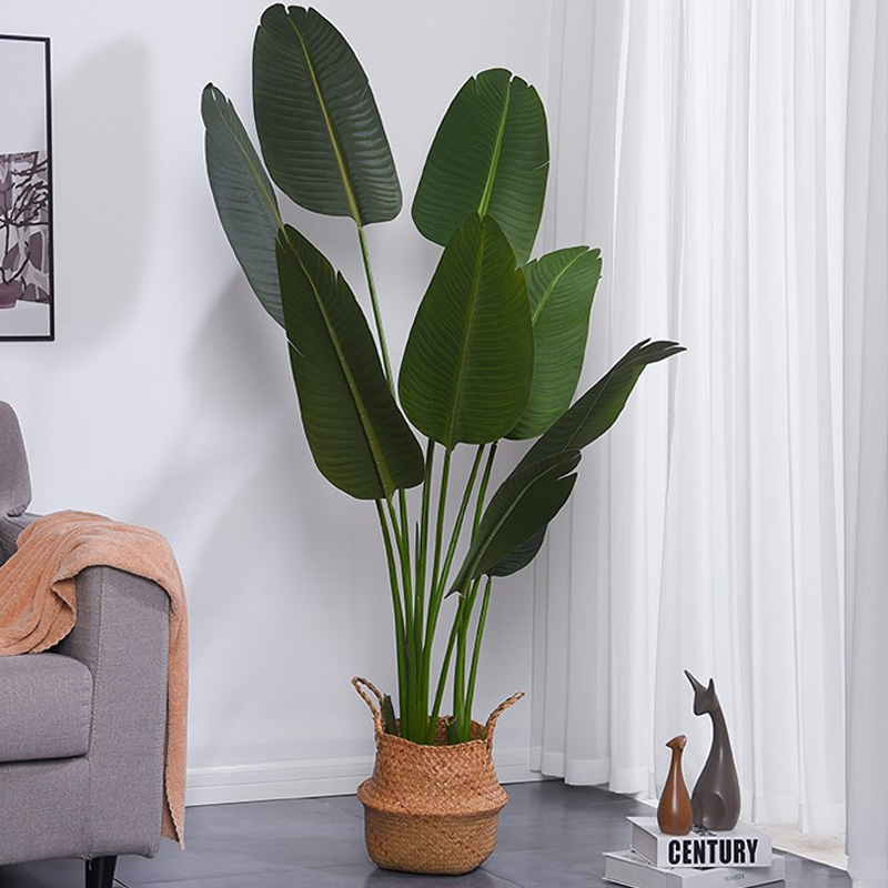Artificial direct din fabrică Durabil Vivid AllSeason Traveller \\ Palm pentru furnizor de grădină pentru interior în aer liber, decor denuntă în aer liber