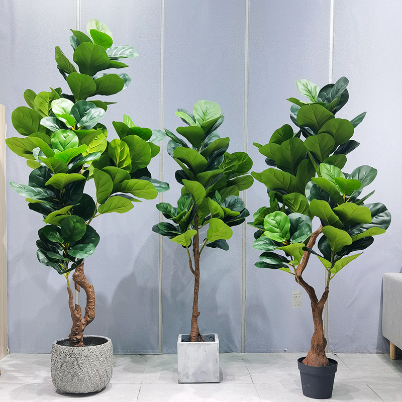 Plante artificiale copac din plastic durabil de întreținere scăzută FIDDLE FIGURI FIGUR PENTRU FURNIZOR DE GARDENE DE NUMENI DE BARDENITARE