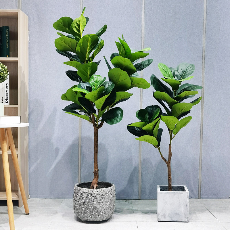 Plante artificiale copac din plastic durabil de întreținere scăzută FIDDLE FIGURI FIGUR PENTRU FURNIZOR DE GARDENE DE NUMENI DE BARDENITARE
