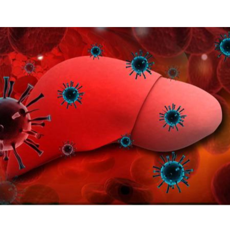 Universitatea din Parma: NMN îmbunătățește hepatita cronică B
