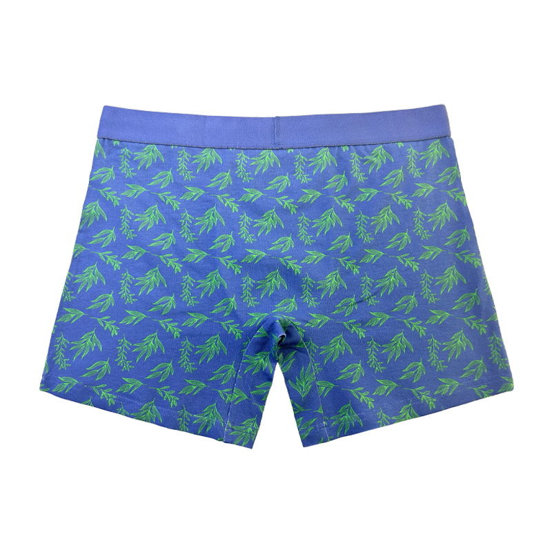 Fashion Full Tipărit de culoare simplă lenjerie pentru bărbați, pentru bărbați, briefurile de Crăciun personalizați lenjerie confortabilă pentru bărbați moi