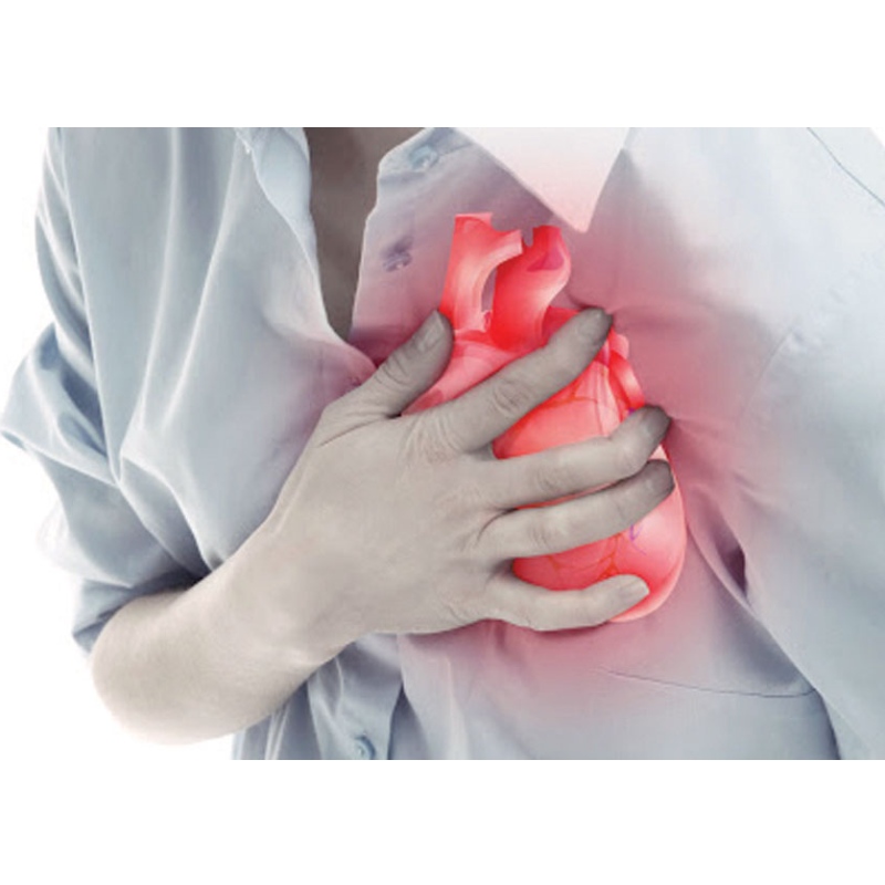 Universitatea Medicală Nanjing: NMN îmbunătățește infarctul miocardic