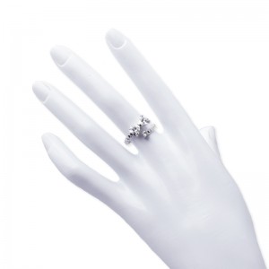 Inel de tip lustruit Hongde