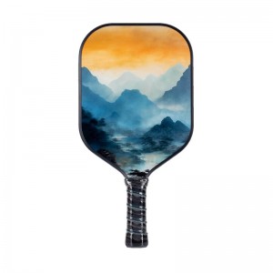 Paleta Pickleball 1B