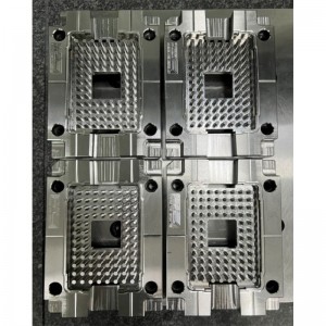 matriță de precizie cu mai multe cavități ibi-8