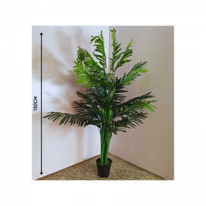 Plante bacice
