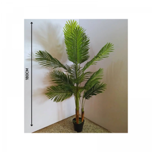 Plante bacice