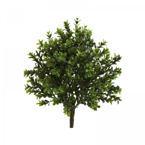 Adevărată atingere(de interior&în aer liber)