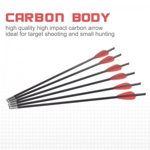 119722 Șuruburi pentru arbaletă de 12,8 inchi OD5,5 mm