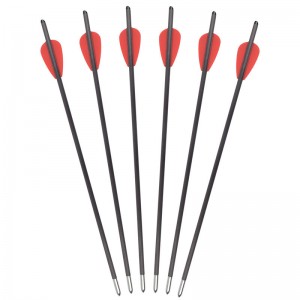 119722 Șuruburi pentru arbaletă de 12,8 inchi OD5,5 mm