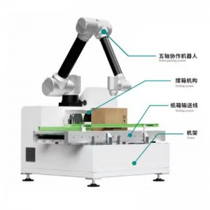 Colaborare Case Packer