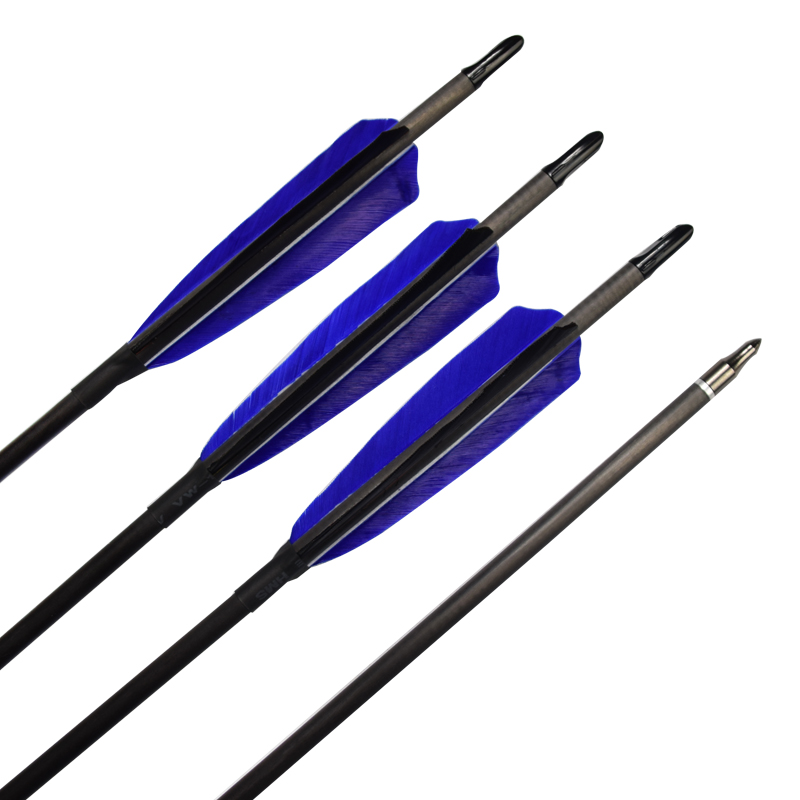 1629181901.jpg 6.jpg