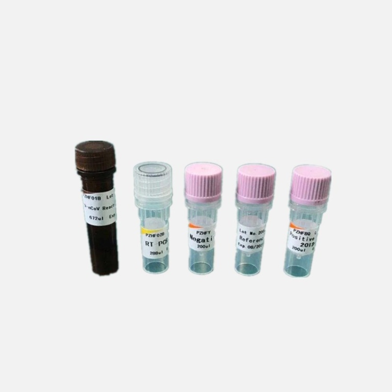 1596593578.jpg 2-3.jpg